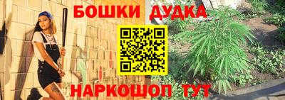 тгк Лесосибирск