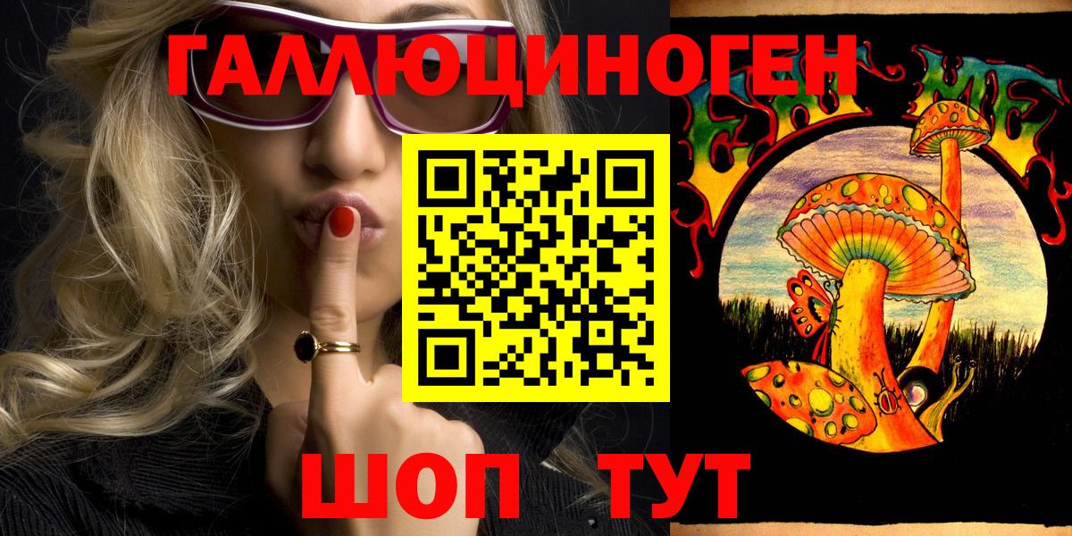 Псилоцибиновые грибы GOLDEN TEACHER  Вход с VPN  Калининград  Псилоцибиновые грибы Cubensis 
